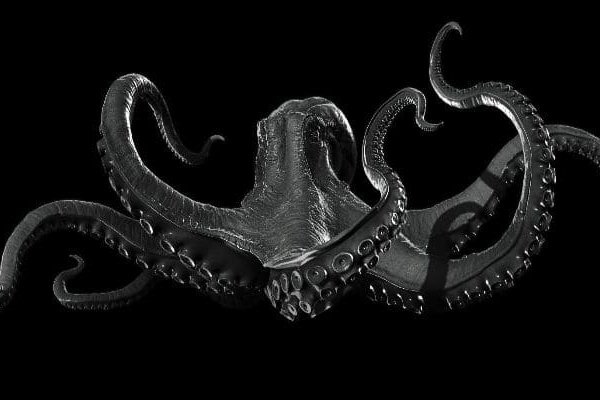 Kraken 6 at