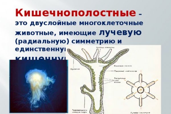 Ссылки даркнета