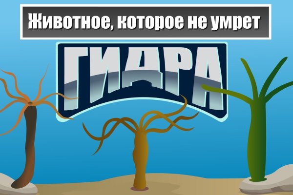 Кракен маркетплейс отзывы